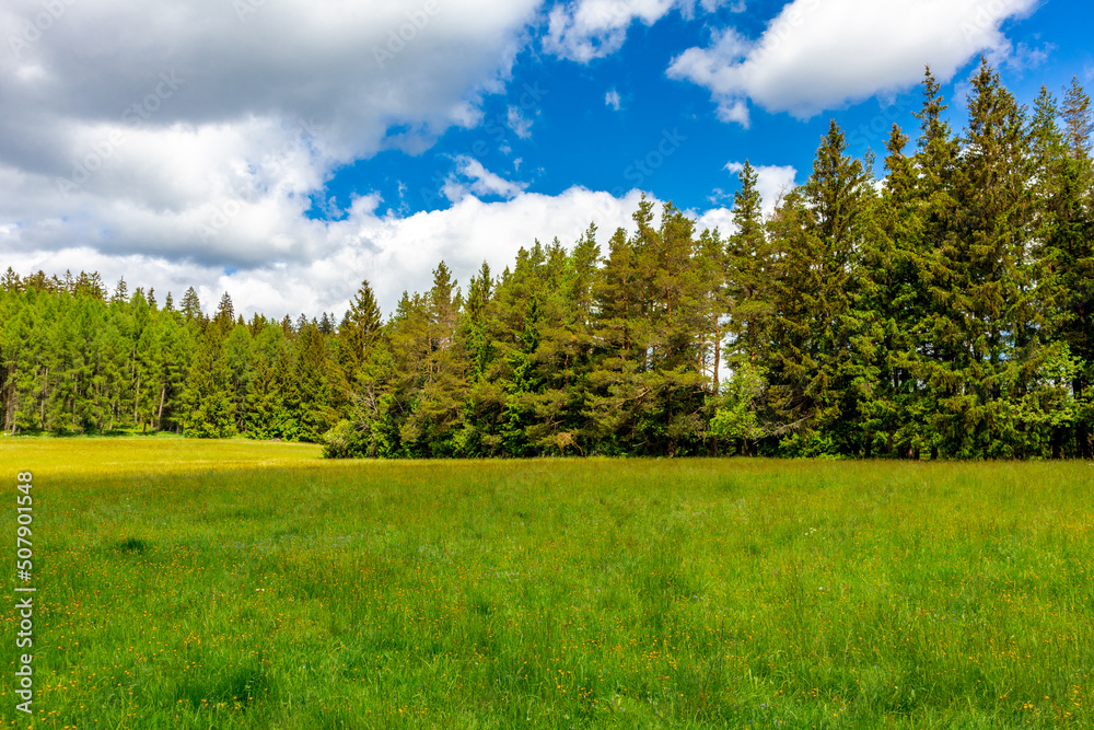 Wanderung rund um die Talsperre Leibis-Lichte bei Oberweißbach - Thüringen - Deutschland Wanderung rund um die Talsperre Leibis-Lichte bei Oberweißbach - Thüringen - Deutschland