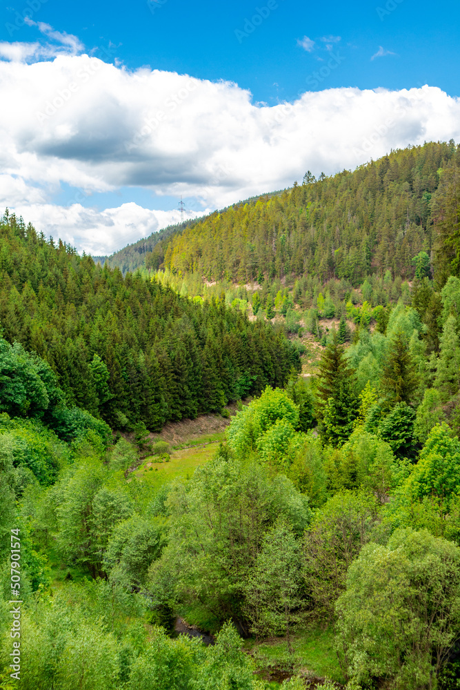 Fototapeta premium Wanderung rund um die Talsperre Leibis-Lichte bei Oberweißbach - Thüringen - Deutschland