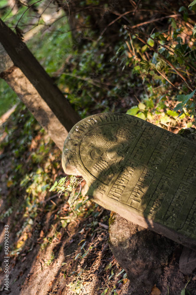 Fototapeta premium Kirkut - cmentarz żydowski / Lublin