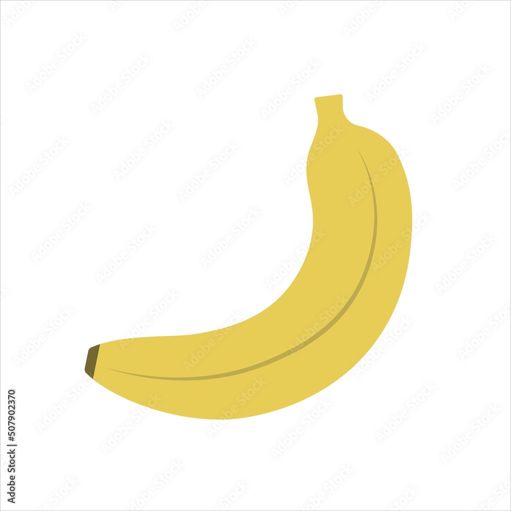 banana fruit vector illustration flat style