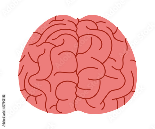 Human brain organ. Vector illustration