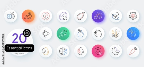 Simple set of Apple, Pumpkin seed and Strawberry line icons. Include Leaf dew, Thermometer, Environment day icons. Soy nut, Water drop, Animal tested web elements. No alcohol, Waterproof. Vector