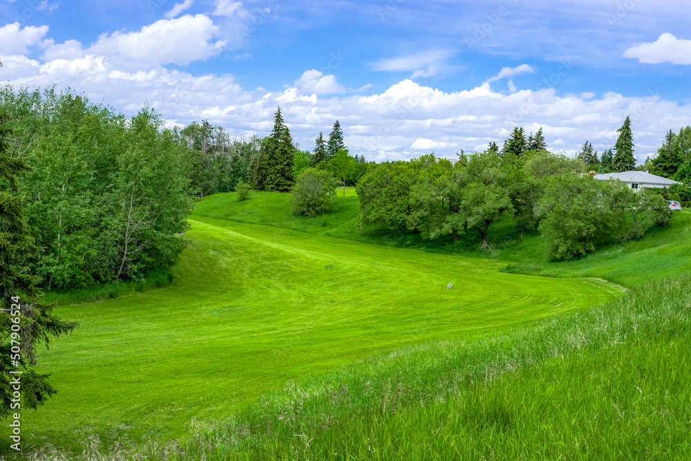 Mowed grass at Mill creek Ravine, Edmonton