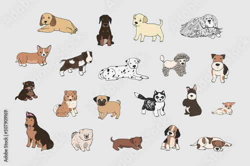 Fototapeta Naklejka Na Ścianę i Meble -  cute puppies dog breed vector illustrations set