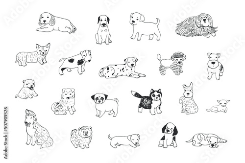 cute puppies dog breed line vector illustrations set