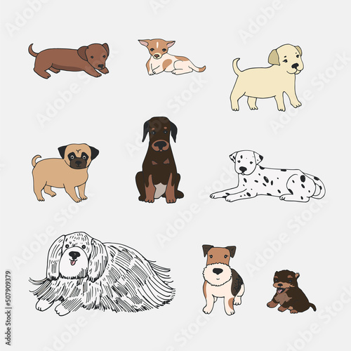 cute puppies breeds dog vector illustrations set