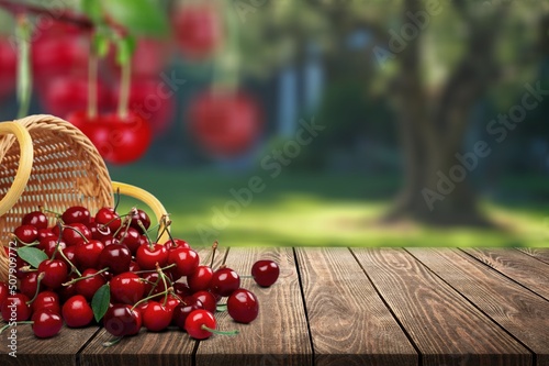 Foto Branch of ripe cherries and tree in a garden
