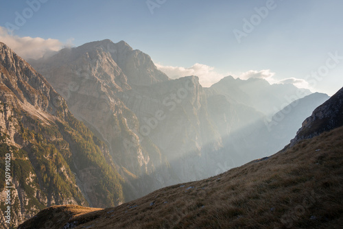 Alpine Ibex in the Julian Alps mountains photo