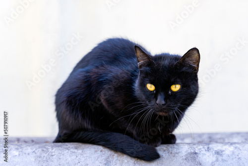 A black cat with yellow eyes sits on a gray surface © Tatiana