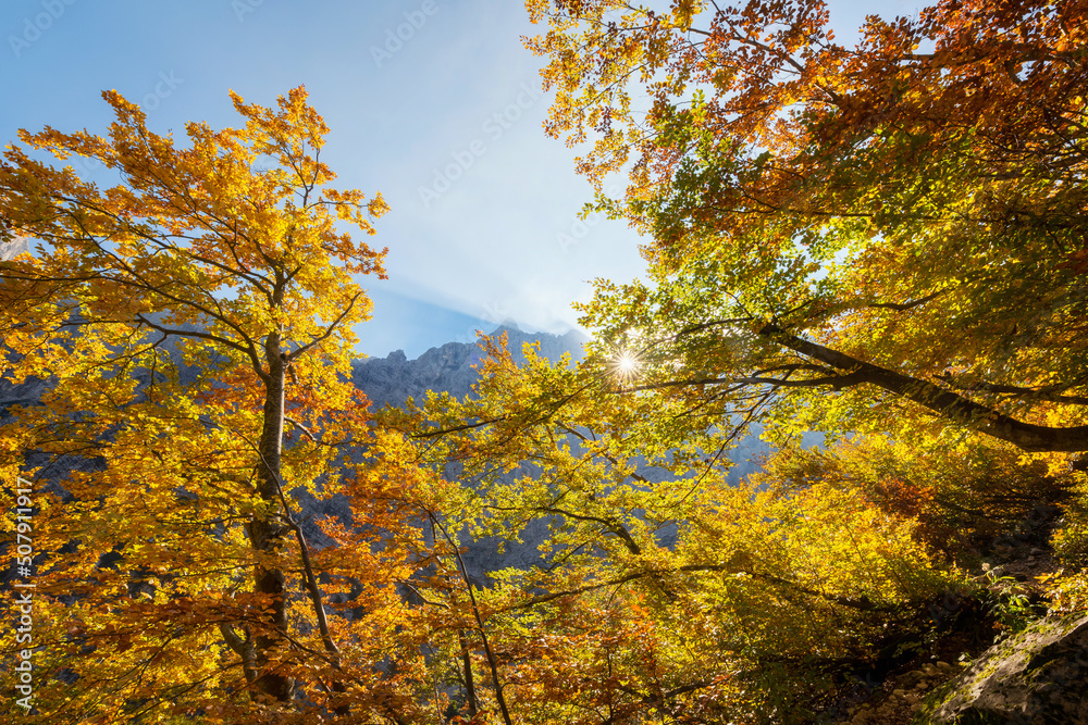 Beautiful autumn day in the Vrata valley in the Julian Alps mountains Beautiful autumn day in the Vrata valley in the Julian Alps mountains