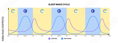 Sleep wake cycle