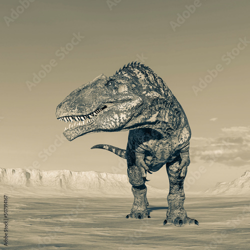giganotosaurus is looking for some food on sunset desert © DM7