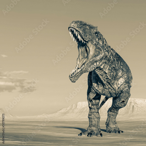 giganotosaurus is angry with the  jaws wide open on sunset desert © DM7