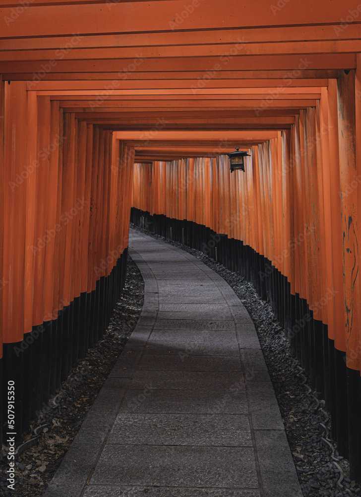 Fototapeta premium The empty spiritual path of Fushimi Inari Taisha in Kyoto, Japan