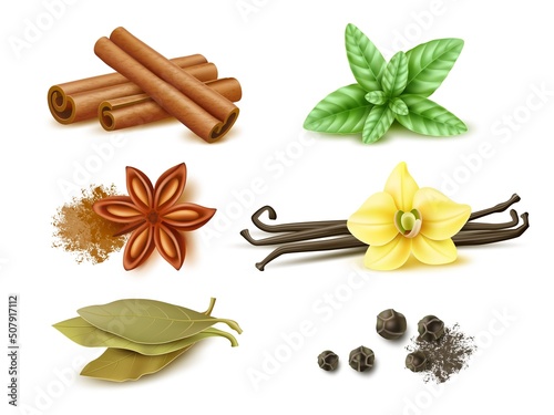 Spices and herbs. Realistic dry and fresh cooking aroma ingredients, vanilla pods and flower, cinnamon sticks, seeds and anise star, bay and mint leaf, black peppercorns. Vector set