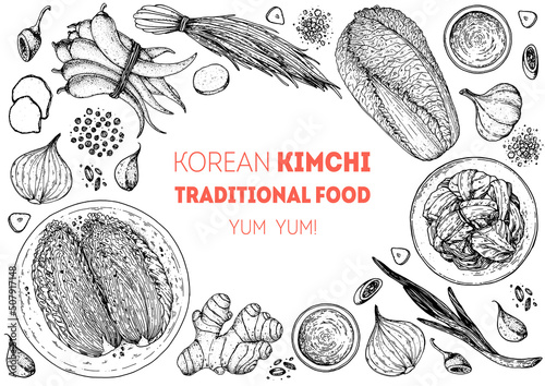 Kimchi cooking and ingredients for kimchi, sketch illustration. Korean cuisine frame. Healthy food, design elements. Hand drawn, package design. Asian food