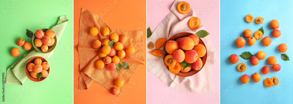 Set of tasty ripe apricots on colorful background, top view