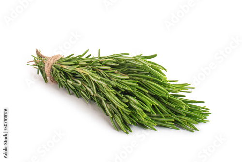 bunch of fresh green rosemary isolated on white background