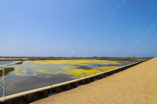 vast miles of blue ocean water covered in yellow pollen with a clear blue sky at Bolsa Chica Ecological Reserve in Huntington Beach California USA photo