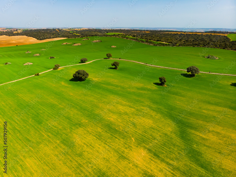Drone view of huge plantations in the Castile-La Mancha region, Spain