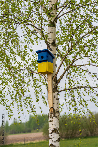 A yellow-blue bird house in birch.