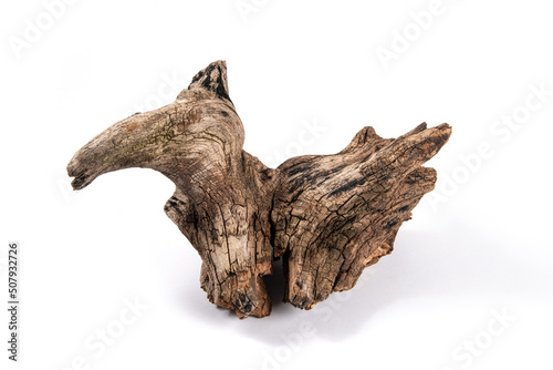 dry dead root isolated on white background