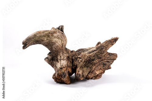 dry dead root isolated on white background © zhikun sun