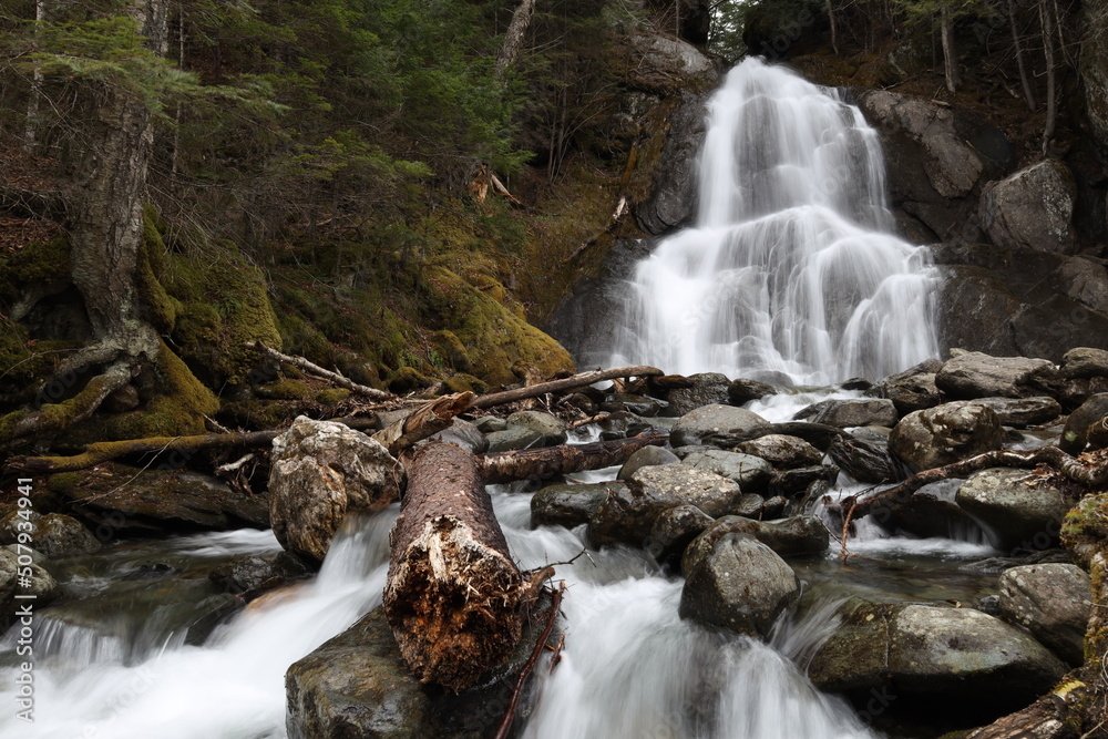 Fototapeta premium waterfall in the forest