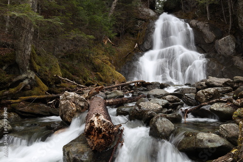 waterfall in the forest