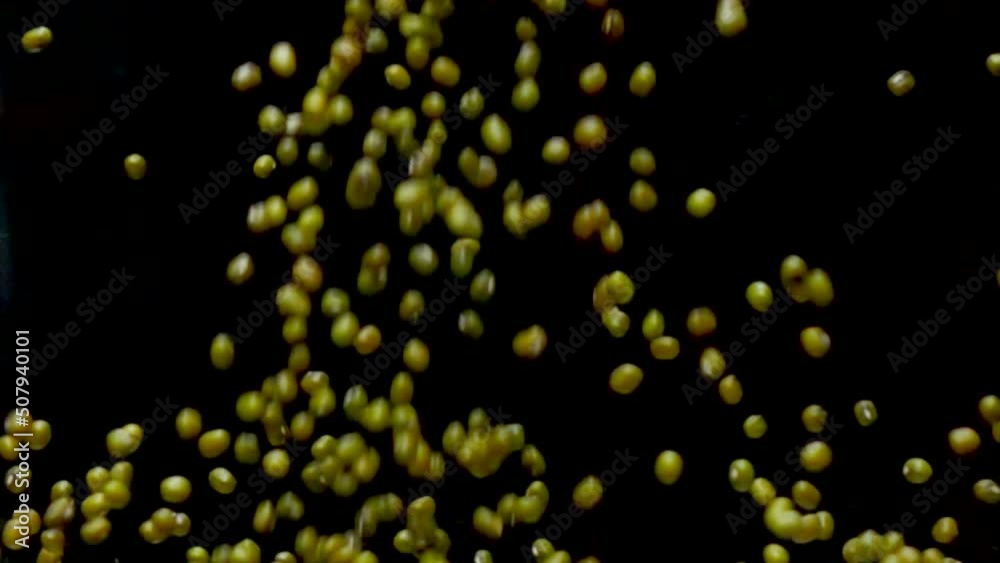Soy bean pouring slow motion Soy bean pouring slow motion