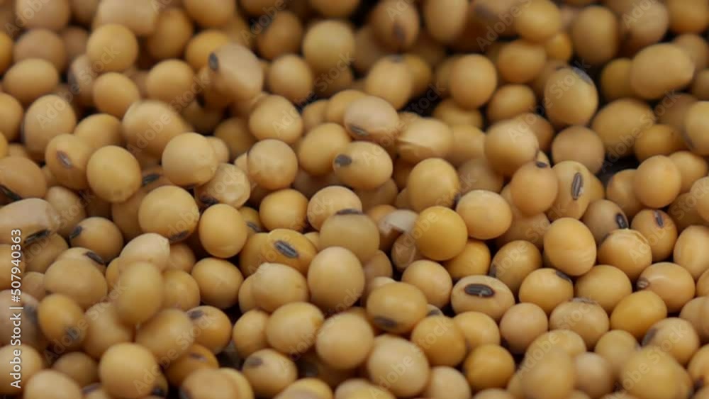 Soy bean pouring slow motion Soy bean pouring slow motion
