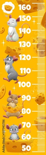 Kids height chart with cute cartoon mouses, rats and cheese. Vector growth meter with funny mice characters. Wall sticker for children height measurement with scale and rodent personages