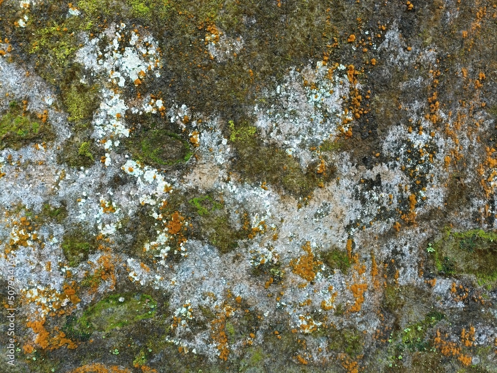Mossy stone surface with patches of lichen and moss in green, gray and orange natural horizontal background texture Mossy stone surface with patches of lichen and moss in green, gray and orange natural horizontal background texture