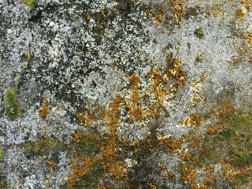 Colorful stained horizontal stone wall with moss, mold and lichen blotches