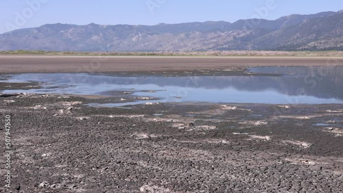 Pan right across little washoe lake drying out in summer heat wave with no water. Dead fish scattered everywhere. photo