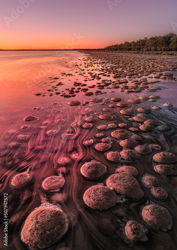 The Lake Clifton thrombolites are approximately 2,000 years old and the largest in the southern hemisphere. 