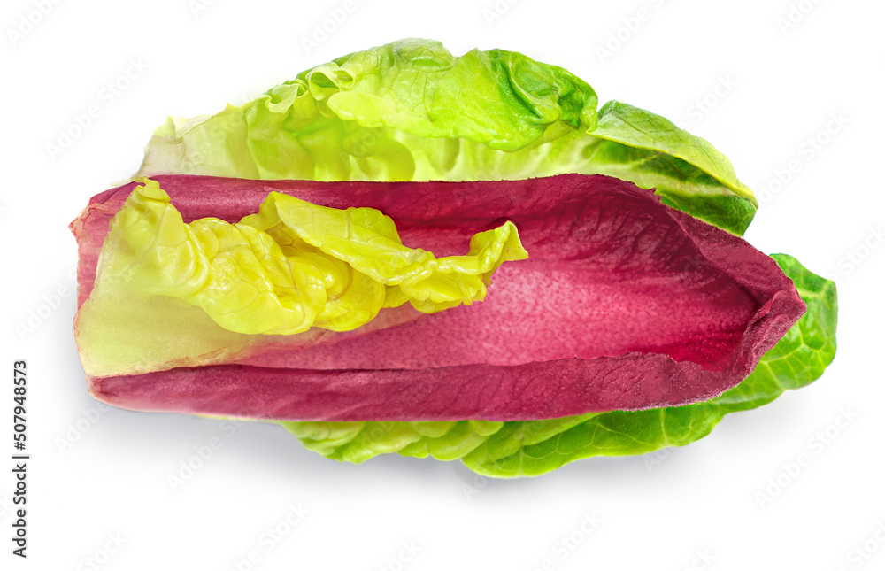 Fresh salad leaves isolated on the white background. Cos lettuce and radicchio leaves. Collection. Top view. Flat lay. Fresh salad leaves isolated on the white background. Cos lettuce and radicchio leaves. Collection. Top view. Flat lay.