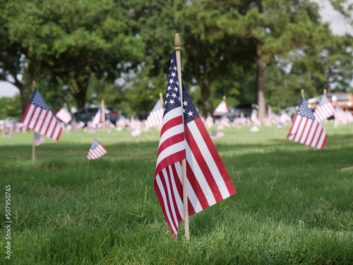 american flag in the garden