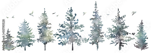 Watercolor hand drawn forest set with delicate illustration of coniferous trees spruce, fir, pine, foggy landscapes, silhouette of birds. Elements isolated on a white background. Woodland collection