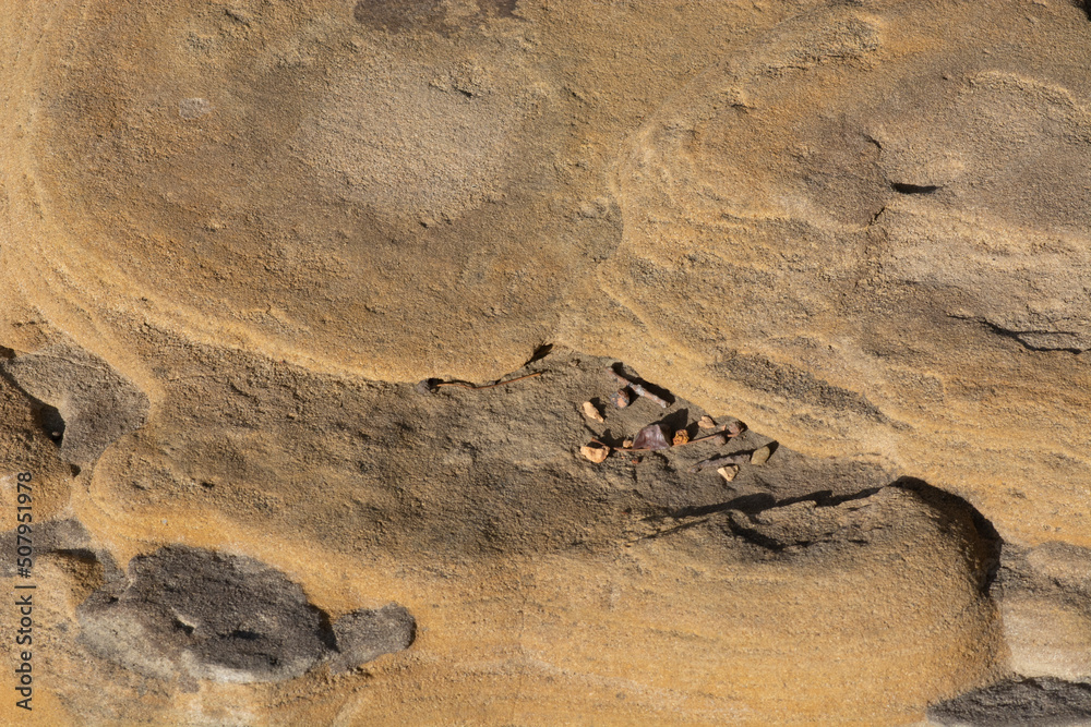 Closeup of yellowish textured Colorado rock with erosion from water and wind