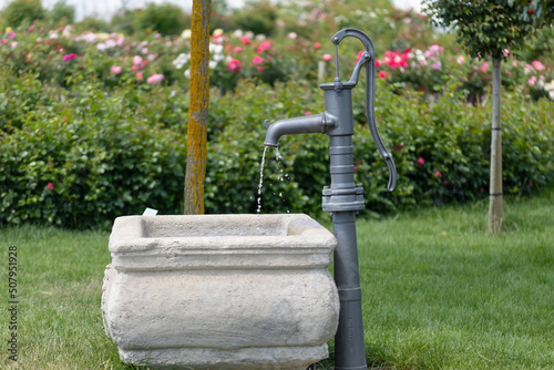 Water drops out of a metal hand pump into an old trough with rose bushes in the blurry background