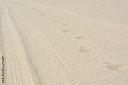 Dry beach sand with track of car as background, closeup