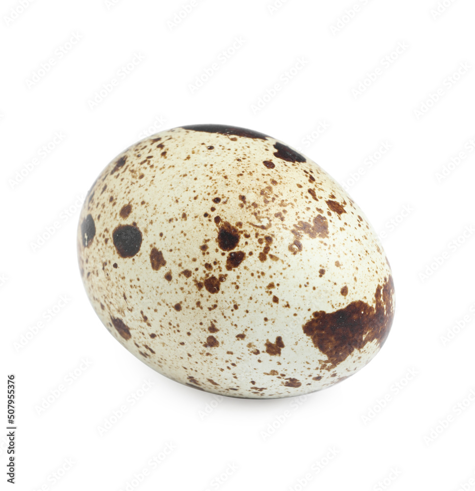 One beautiful quail egg isolated on white One beautiful quail egg isolated on white