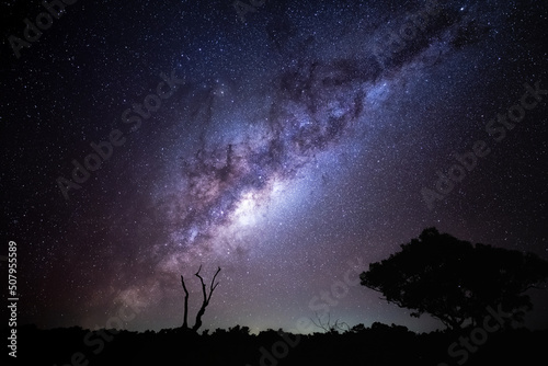 Karinjini National Park Western Australia Milky Way photo