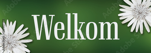 Welkom Flowers Left Right Green Background Text Horizontal  photo