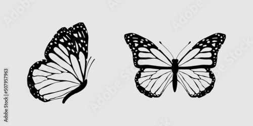 Black flying butterflies contour set isolated on grey background. Vector illustration for patterns, prints.