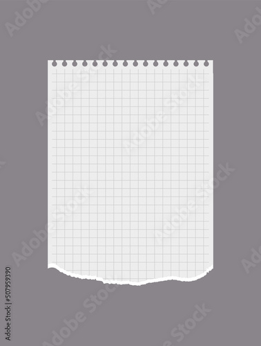 Checkered torn out notebook page flat style, vector illustration