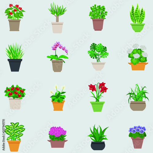 House plants vector color icon collection set