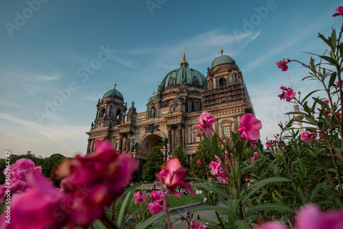 Photography Outside view of Berlin cathedral or Dom, with visible purple flowers and green leaves in front of the building