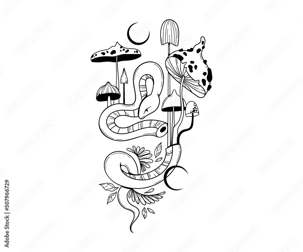 Mystical space snake with magic mushrooms isolated clip art on white, hand drawn mysterious composition with celestial animal, moon and poisonous fungi, vector outline reptile Mystical space snake with magic mushrooms isolated clip art on white, hand drawn mysterious composition with celestial animal, moon and poisonous fungi, vector outline reptile